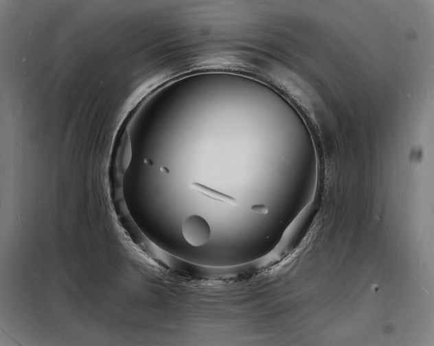 X0000098181330200804241212