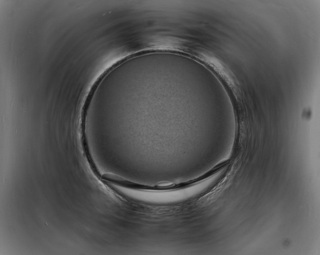 X0000098181331200804241212