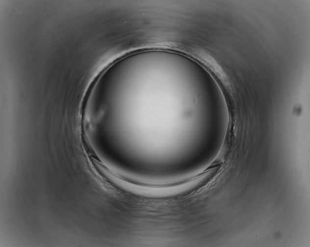 X0000098181332200804241213