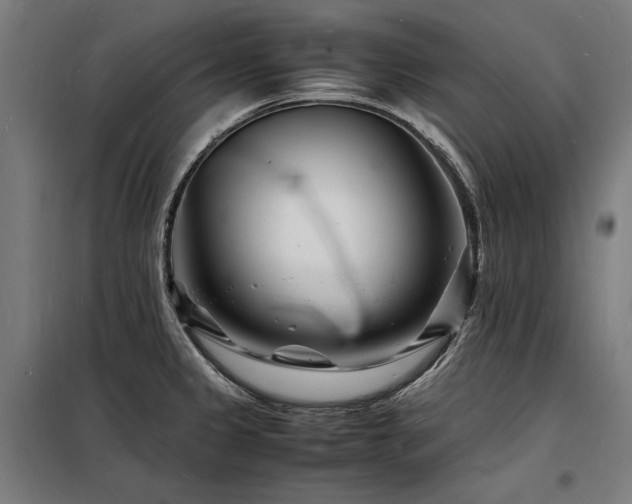 X0000098181333200804241213