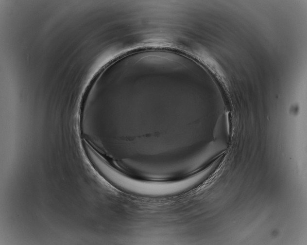 X0000098181334200804241213