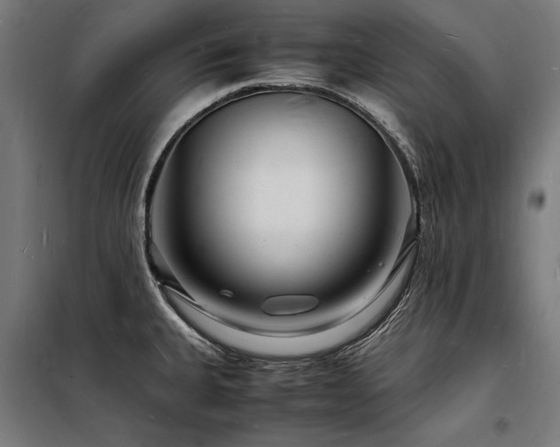 X0000098181335200804241213