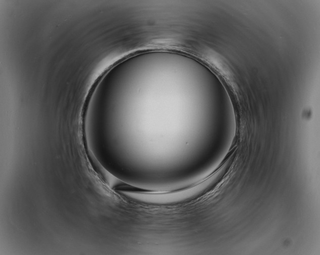 X0000098181336200804241213