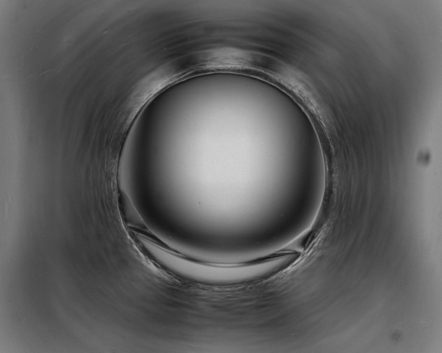 X0000098181337200804241213