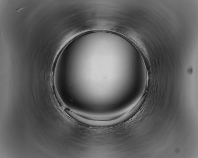 X0000098181340200804241213