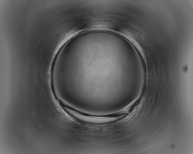 X0000098181341200804241213