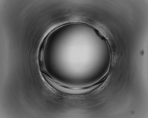 X0000098181342200804241213