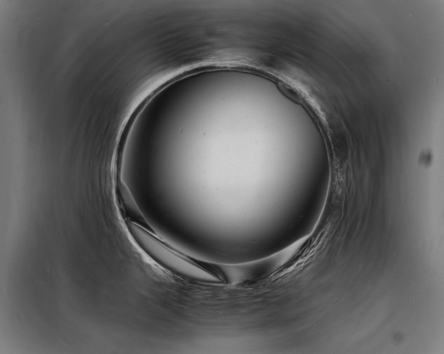 X0000098181343200804241213