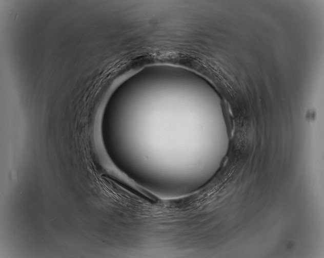 X0000098181345200804241212