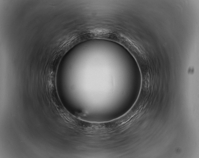 X0000098181346200804241212