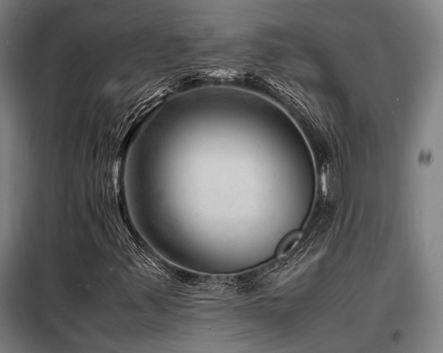 X0000098181347200804241212