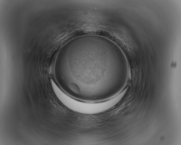 X0000098181348200804241212