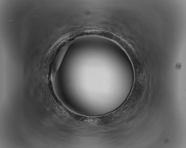 X0000098181351200804241212