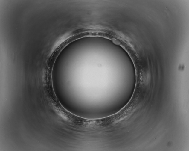 X0000098181352200804241212