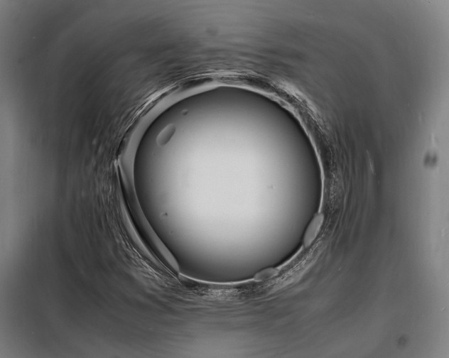 X0000098181353200804241212