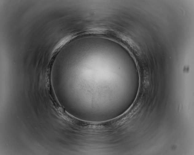 X0000098181354200804241212