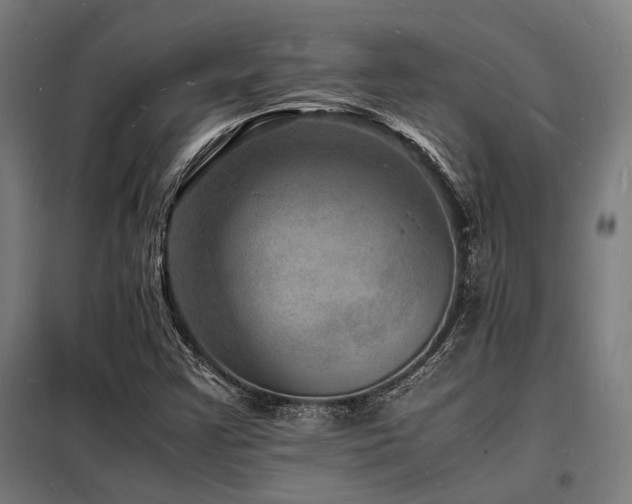 X0000098181355200804241212