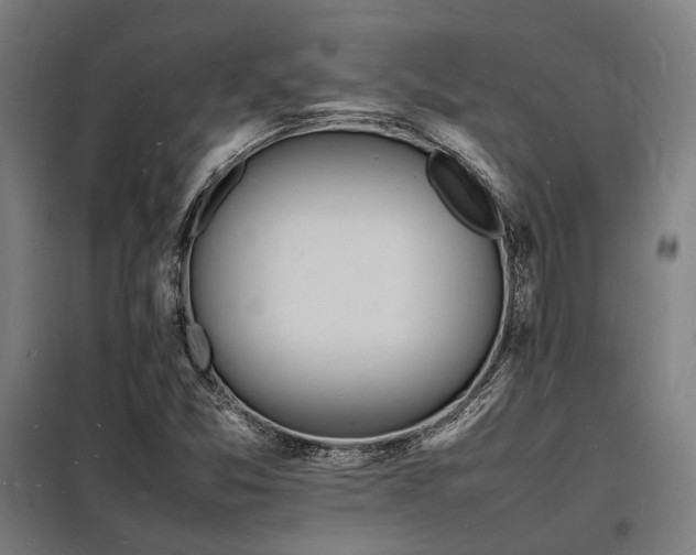 X0000098181357200804241212