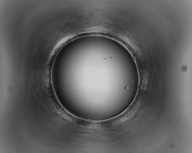 X0000098181358200804241212