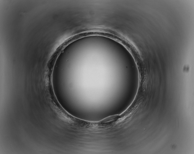 X0000098181360200804241212