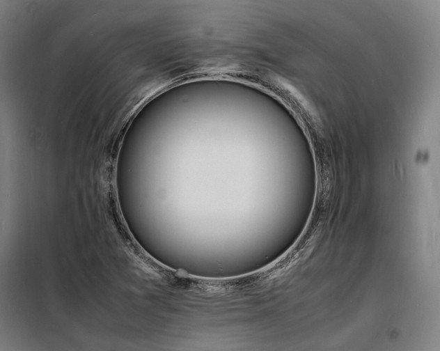X0000098181361200804241212