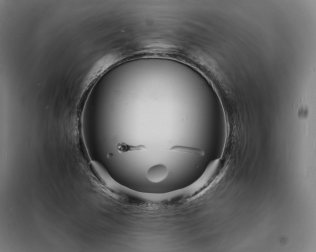 X0000098181362200804241212