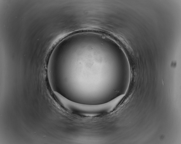 X0000098181363200804241212