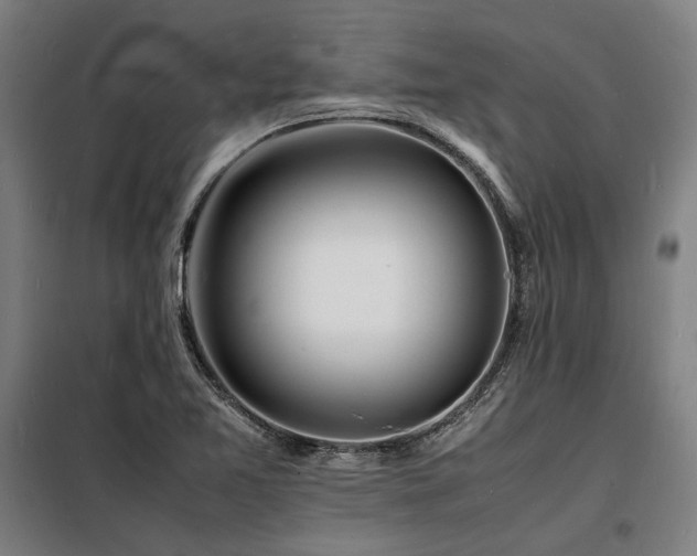 X0000098181365200804241212