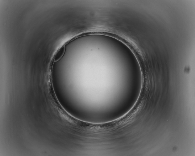 X0000098181366200804241212