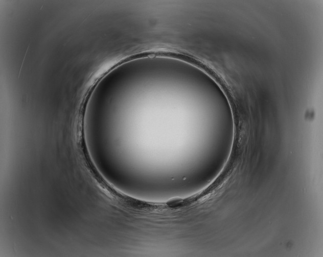 X0000098181367200804241212