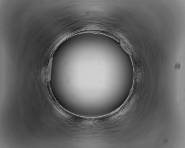 X0000098181369200804241212
