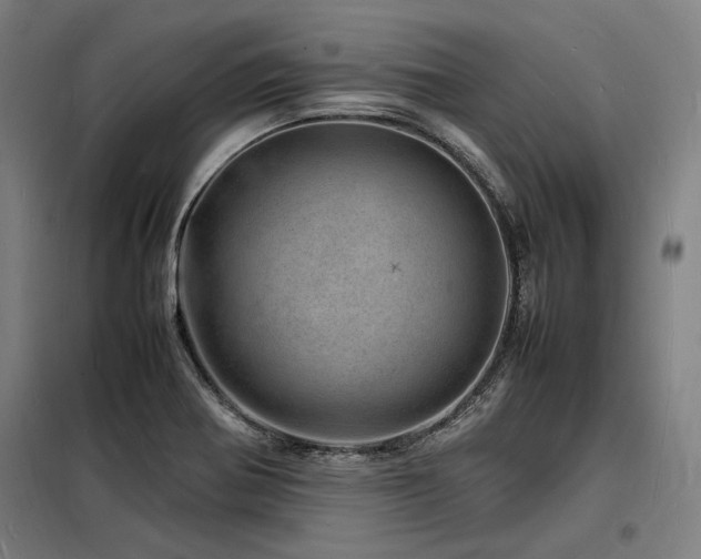 X0000098181370200804241212