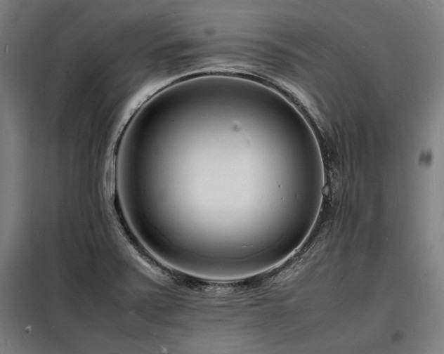 X0000098181371200804241212