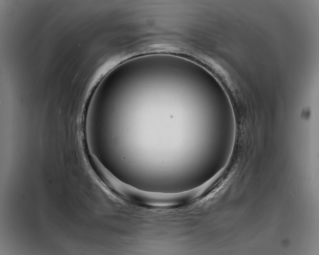 X0000098181373200804241212