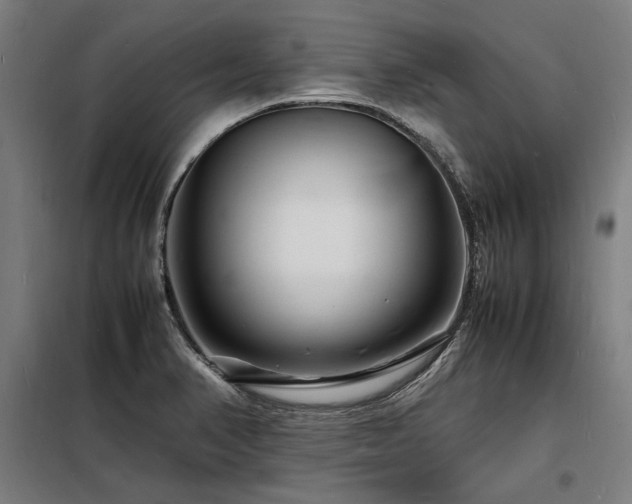 X0000098181374200804241212