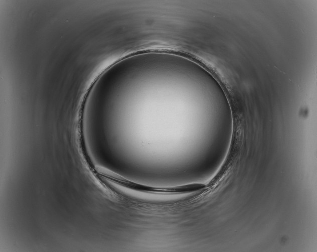 X0000098181375200804241212