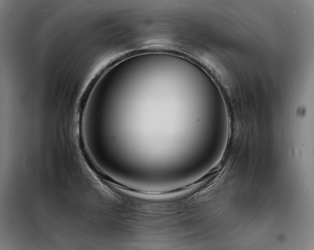 X0000098181376200804241212