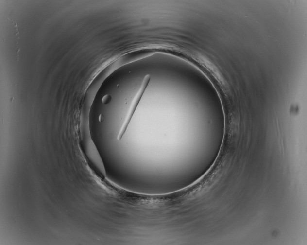 X0000098181377200804241212