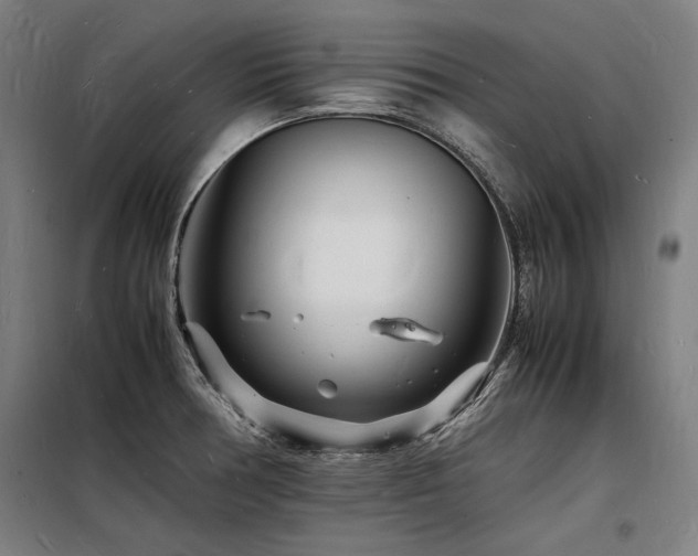 X0000098181378200804241212