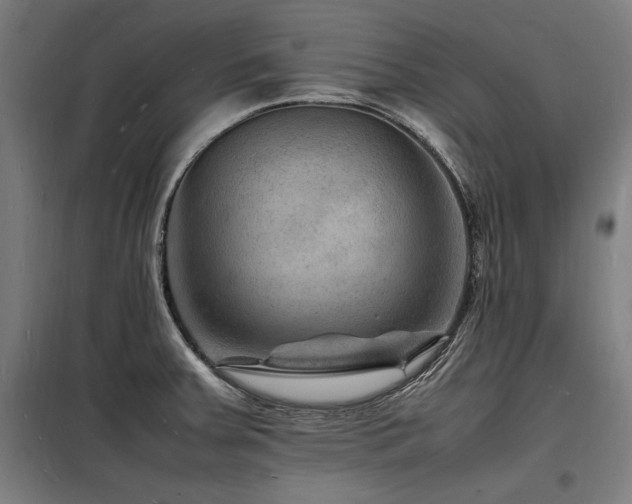X0000098181379200804241212