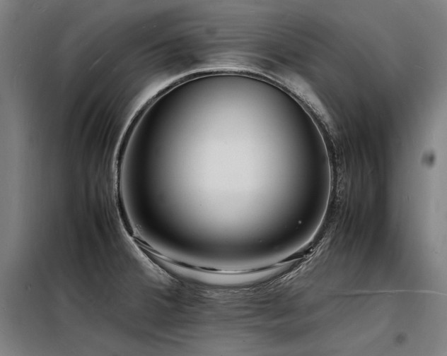 X0000098181380200804241212