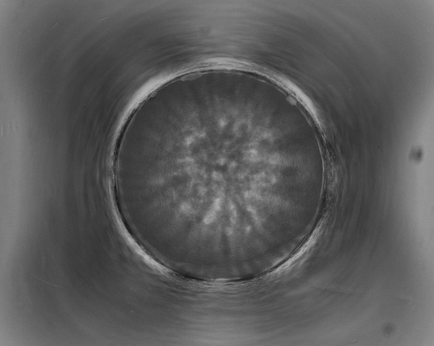 X0000098181381200804241211