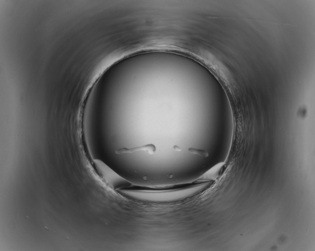 X0000098181382200804241211