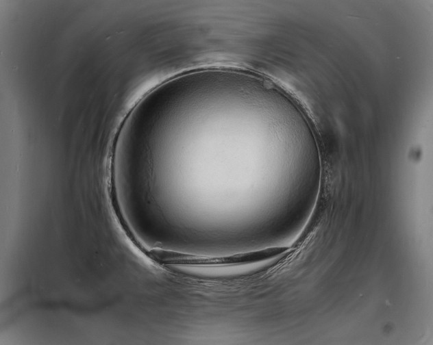 X0000098181383200804241211