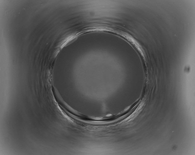 X0000098181385200804241211