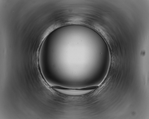 X0000098181386200804241211