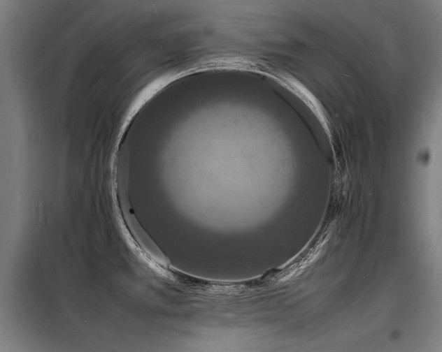 X0000098181389200804241211