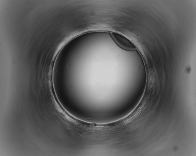 X0000098181390200804241211