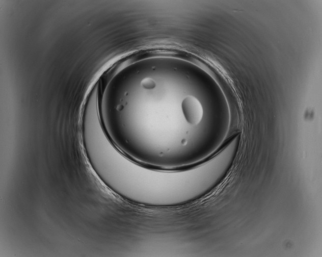 X0000098181392200804241211