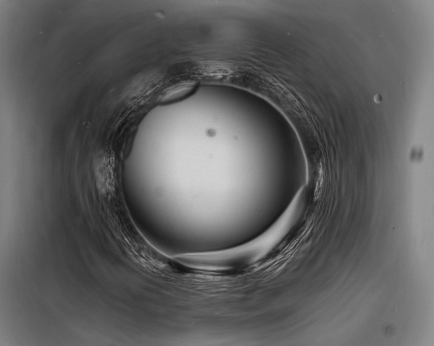 X0000098181394200804241211